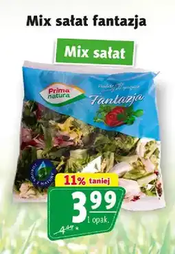 Prim Market Mix sałat Fantazja Prima Natura oferta