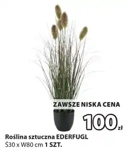 JYSK Sztuczna roślina oferta