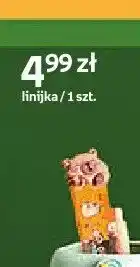 Empik Linijka Paperdot Cappy Classes oferta