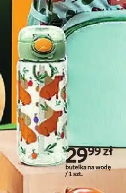 Empik Butelka na wodę Paperdot Cappy Classes oferta
