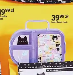 Empik Lunchbox Purrrfect School oferta