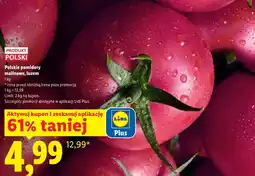 Lidl Pomidory Polski oferta