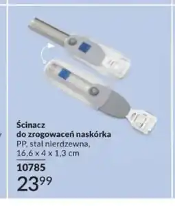 Avon Ścinacz do zrogowaceń naskórka Footworks oferta
