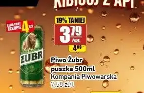 API MARKET Piwo Żubr oferta