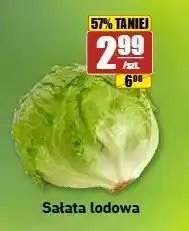 API MARKET Sałata lodowa oferta