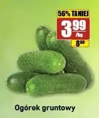 API MARKET Ogórek gruntowy oferta
