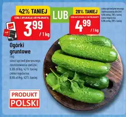 Polomarket Ogórki gruntowe oferta