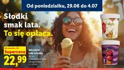 Lidl Lody w kubku Willisch jagodzianka oferta