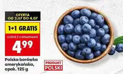 Biedronka Borówka amerykańska polska oferta