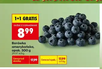 Borówka amerykańska