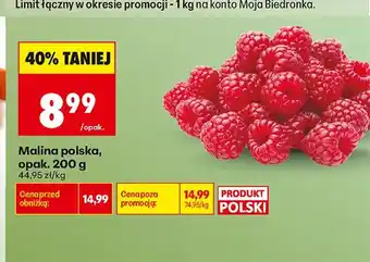 Biedronka Malina polska oferta