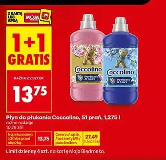Biedronka Płyn do płukania Coccolino oferta