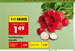 Biedronka Rzodkiewka pęczek oferta