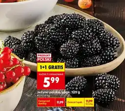 Biedronka Jeżyna polska oferta