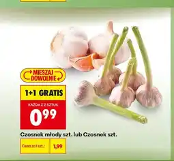 Biedronka Czosnek młody oferta