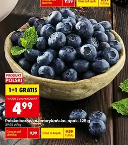 Biedronka Borówka amerykańska polska oferta