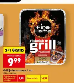Biedronka Grill jednorazowy Fire & Flame oferta
