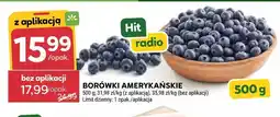 Stokrotka Borówki amerykańskie oferta