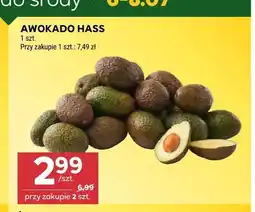 Stokrotka Awokado Hass oferta