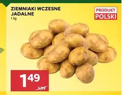 Stokrotka Ziemniaki wczesne jadalne polskie oferta