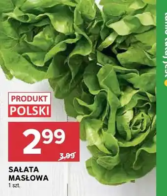 Stokrotka Sałata masłowa oferta