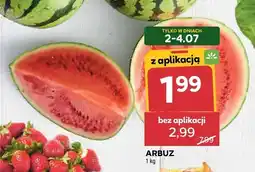Stokrotka Arbuz oferta