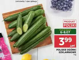 Stokrotka Ogórki szklarniowe polskie oferta