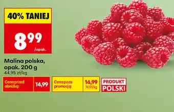 Biedronka Malina polska, opak oferta