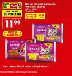 Biedronka Karma dla kota galaretka Whiskas oferta