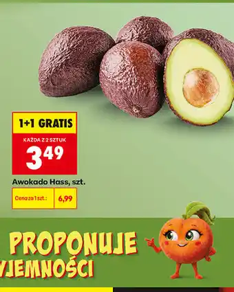 Biedronka Awokado Hass, szt oferta