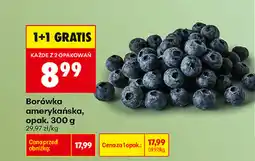Biedronka Borówka amerykańska, opak oferta