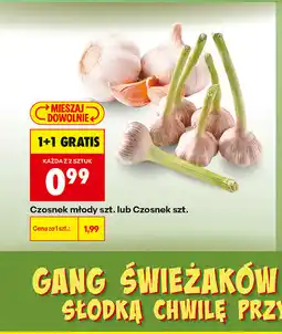 Biedronka Czosnek młody szt. lub Czosnek szt oferta