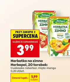 Biedronka Herbatka na zimno Herbapol oferta