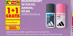 Biedronka Dezodorant w kulce Adidas oferta