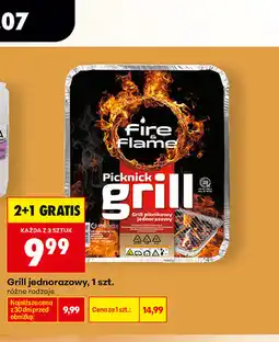 Biedronka Grill jednorazowy Fire & Flame oferta