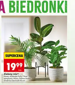 Biedronka Zielony mix oferta