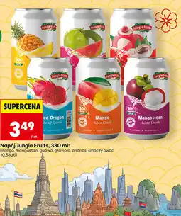 Biedronka Napój Jungle Fruits oferta