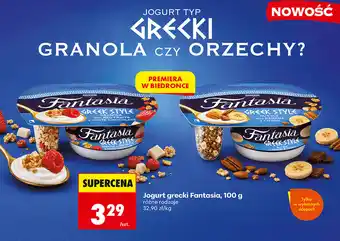 Biedronka Jogurt grecki Fantasia oferta