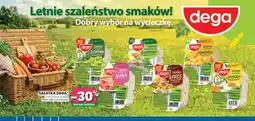 Stokrotka Sałatka Dega oferta