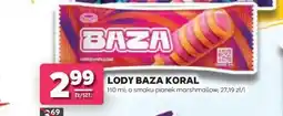 Stokrotka Lody Baza Koral oferta