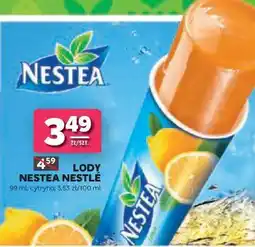 Stokrotka Lody Nestea Nestlé oferta