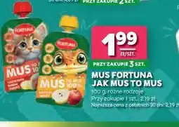 Stokrotka Mus Fortuna jak mus to mus oferta