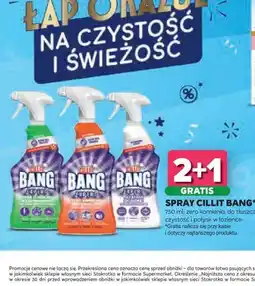 Stokrotka Spray Cillit Bang oferta