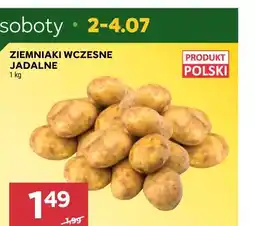 Stokrotka Ziemniaki wczesne jadalne oferta