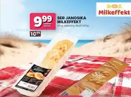Stokrotka SER JANOSIKA MILKEFFEKT oferta