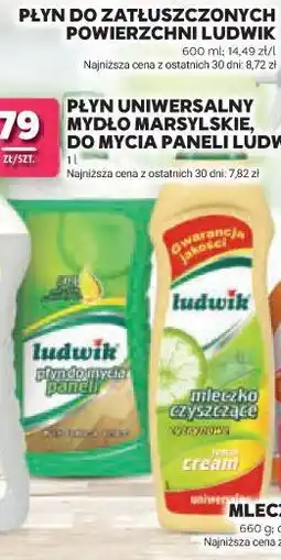 Stokrotka Ludwik Mleczko czyszczące oferta