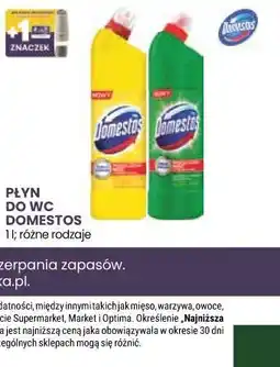 Stokrotka Płyn do WC Domestos oferta
