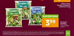 Stokrotka Gardina Mix sałat oferta