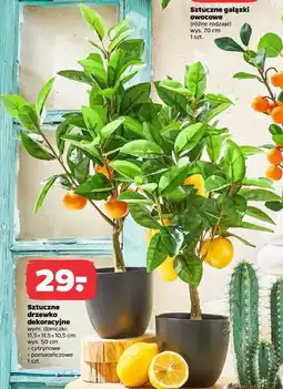 Netto Sztuczne drzewko dekoracyjne oferta