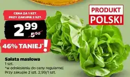 Netto Sałata masłowa oferta